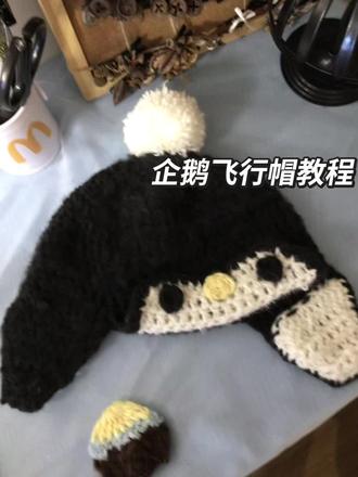 #钩织分享 企鹅飞行员帽教程分享
#手作diy
#钩织
#教程
#我的手工作品