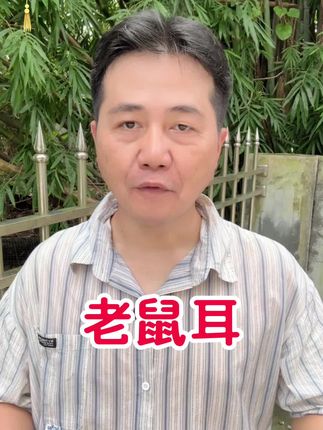 #客家人 #客家话 #客家 #惠州 #客家妹