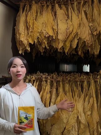 满房黄,认准正品,需要的小黄车下单
