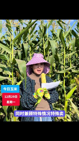 太阳🌞当空照,玉米对我笑#玉米排骨汤