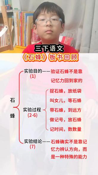 三下语文《石蜂》板书回顾#思维导图#语文