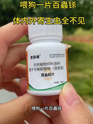 #猫狗驱虫的重要性