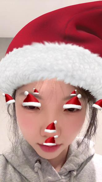 #万物皆可戴圣诞帽 这世界上还有正常人吗