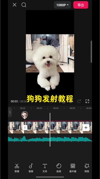 狗狗发射特技教程来啦,过年在家和自己的萌宠宝贝拍起来吧!#萌娃发射特技 #小狗就是拿来玩的 #狗狗冲出屏幕 #剪映 小狗冲出屏幕剪辑 小狗冲出屏幕素材 萌宠发射特技教程