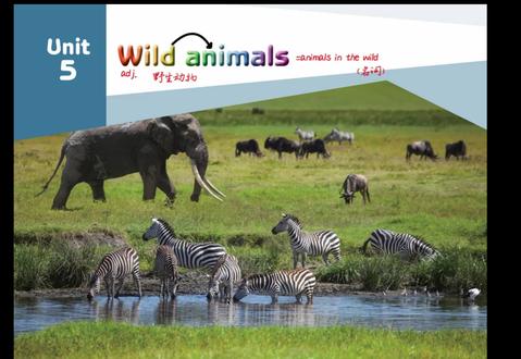 八上译林第五单元讲解