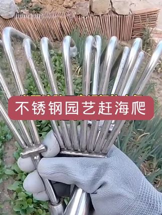 #不锈钢园艺赶海爬#耙子