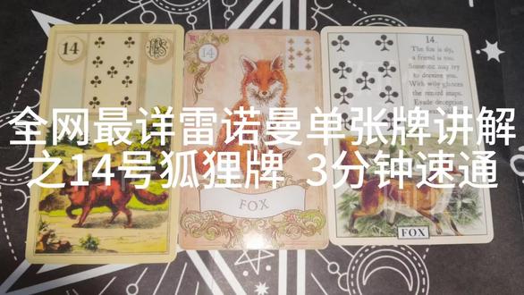 全网最详#雷诺曼 讲解之14号狐狸牌#雷诺曼教学 把狐狸牌指代为工作是法国流派,有采用锚、月亮当工作牌,但是我个人觉得不太符合当下就业以及工作环境