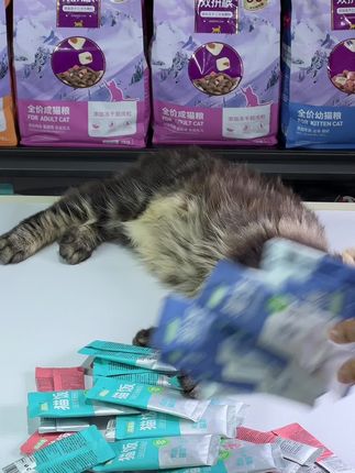 九块九三十包主食猫饭!比自制营养还全,鱼油+牛磺酸直接拉满,冲销量这波不薅血亏!#萌宠好物#猫饭#萌宠日常记录 #强烈推荐