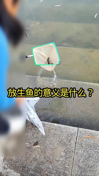放生的意义是什么?#放生 #放生祈福 #放生鱼