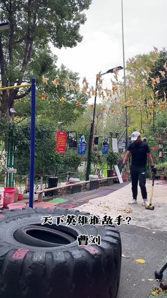 天下英雄谁敌手?
曹刘。😎