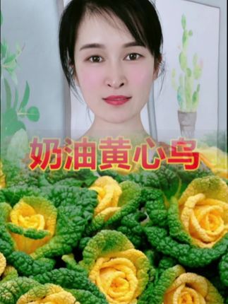 #无限回购的宝藏单品 #蔬菜种子 #黄心乌塌菜种子 现在正是种植的好时节,南方北方都能种