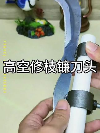 高空修枝神器!槟榔刀轻松搞定高处树枝 #高空修枝 #槟榔刀 #农用工具 #园艺神器 #嫁接利器