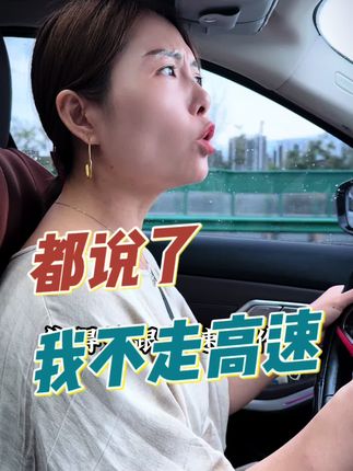 都说了不走高速,非要把我导到高速来,再这样我就卸载导航了!#内容太过真实 #老实人说老实话 #不走高速
