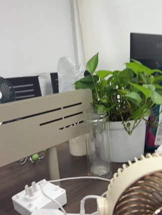 家家必备!