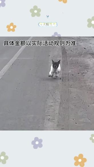 解锁浏览新体验#悟空浏览器#你的短剧搭子#追剧神器#看剧