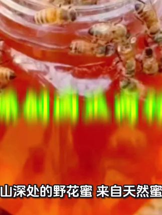 太行山蜜源深山野花蜜!👈👈👈