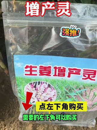 增产灵#生姜高产#叶面肥#助农优品 #厂家直发品质保证 !