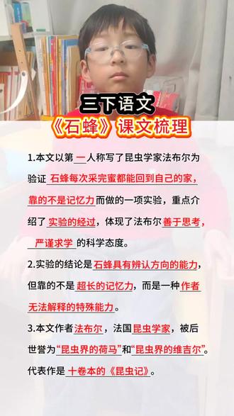 三下语文《石蜂》课文重点梳理#课文梳理#课堂笔记#小学语文知识点