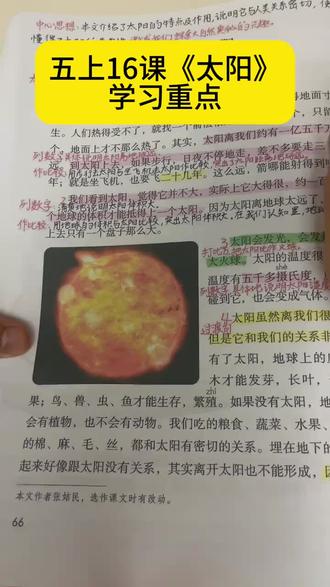 五上16课《太阳》学习重点。
