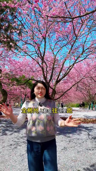 29.9就可以赏樱花,拍美照!把这份春天
的美景记录下来!#桂阳樱花园 #樱花季
#镜头里的春日美景 #风景如画的地方