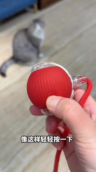 用它来逗猫,这下小猫一整天的运动量都达标了#猫玩具 #逗猫神器 #开启自嗨模式的猫 #铲屎官的乐趣 #好物推荐🔥