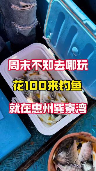 体验海钓爆护的感觉,仅需一百?#海钓 #户外钓鱼 #钓鱼人就是这么疯狂 #抖音看世界#钓鱼的乐趣只有钓鱼人懂