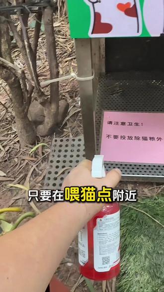 伊泰诺呋虫胺喷雾 流浪猫投喂点防蚂蚁
#流浪猫投喂#防蚂蚁#呋虫胺喷雾#旺叔喂猫日记#流浪猫救助