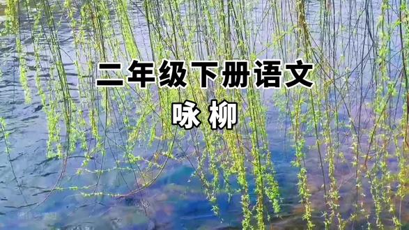 二下语文第一课《古诗二首》其一《咏柳》#二年级下册语文 #咏柳 #课文朗读 #课文动画