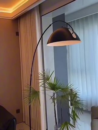 钓鱼灯落地灯客厅沙发旁全光谱边角设计感松弛感轻奢智能卧室台灯#钓鱼灯 #钓鱼灯落地灯 #摆件灯 #卧室台灯 #灯具搭配