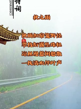 秋雨敲窗韵未休 湿烟笼树叶含幽 #手机摄影 #原创视频