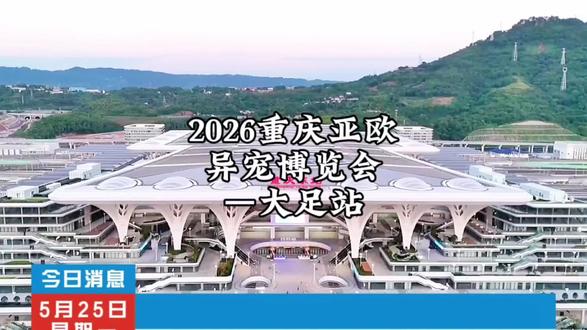 2026重庆亚欧异宠博览会——大足站5月29号正式开启!#亲子游玩好去处 #昆虫 #周末去哪玩 #儿童乐园 #六一去哪玩