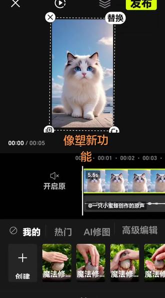 #如何做模板 #剪辑教程 #像塑新功能 #原创视频 @DOU+小助手 @抖加🔥上热门🔥dou+🔥热点宝