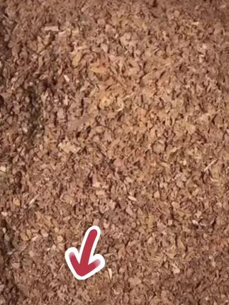 兰花养殖松树皮