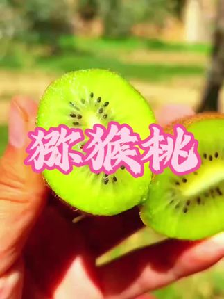 它真的真的巨好吃,一年只吃一个月的正宗绿心猕猴桃,软糯香甜果肉细腻,纯甜无酸,#快来一起尝个鲜 #优质农产品 #脆甜多汁 #猕猴桃 #根本停不下来