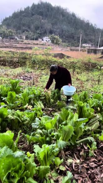 婆子妈有苦说不出#贵州方言搞笑 #看一遍笑一遍 #婆媳关系