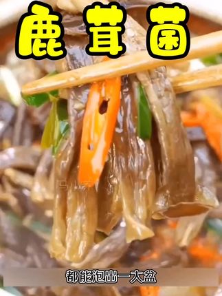 鹿茸菌泡发后超大一碗,口感鲜嫩,营养满分!🍲🍄 #dou上热门♡ #美食分享#好吃不贵