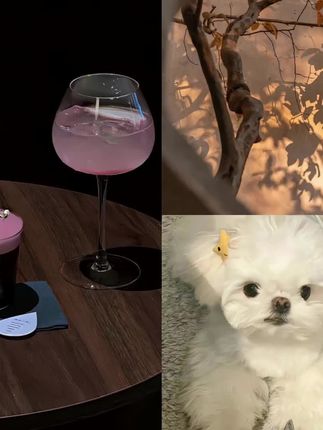 让Pocket3连续拍摄6小时不断电!这个手柄可比原厂强多了#pocket3 #pocket3配件 #pocket3续航配件 #LKTOP #pocket3电池手柄