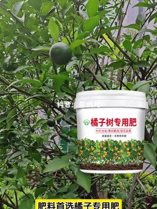 家里的橘子施肥了?想要它结果多,赶紧给它追一次有机肥,这款有机肥适合所有橘子金桔类都可以用#橘子 #沃柑 #果树种植 #金桔 #有机肥