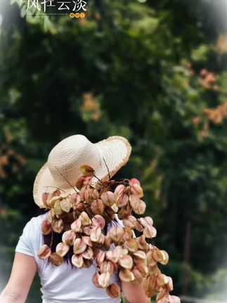 站在栾树下看落英,忽然觉得秋天没有那么萧瑟了。那些黄与红的交织,是秋天偷偷系上的小灯笼,提醒我们慢一点,才能接住生活散落的温柔。