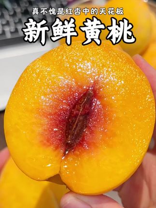 #应季水果 #黄桃 #现摘现发