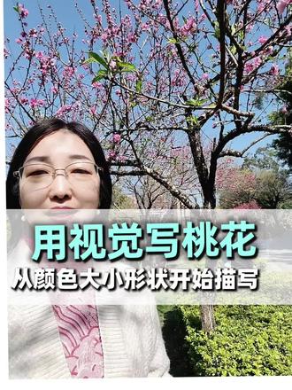 用视觉描写桃花 #春日赏花 #桃花#植物朋友
