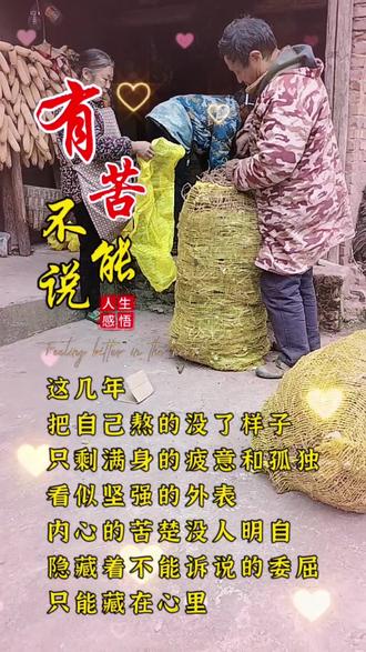 开始收前胡了,今年价格不理想