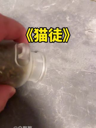 “猫徒”#白憨憨