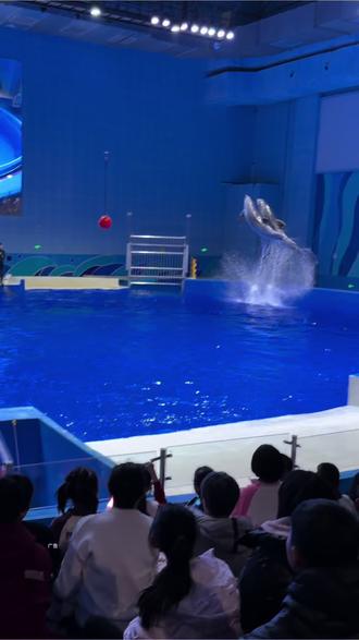 石家庄极地海洋世界你们来过吗 #现在出发直达海底隧道#石家庄极地海洋世界#海洋馆 #海洋公园 #动物园