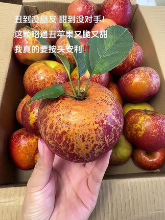 不愧是云南昭通丑苹果谁懂!这个🍎真的有甜甜的心!我妈吃了都说还要再吃又回购了!真的好吃停不下来!苹果香超级浓郁,又香 又脆 又甜😋巨巨巨好吃,虽然有丑丑的样子可是却好吃!喜欢吃苹果的趁应季尝尝丑苹果 #昭通冰糖心丑苹果 #现摘现发新鲜到家 #优质农产品 #新鲜应季水果#丑苹果