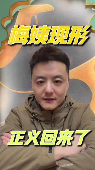 梅姨抓到了!AI让正义“快进”了23年#梅姨案被拐15年少年找到 #视频日记