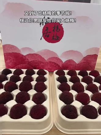又到了吃杨梅的季节啦,酸甜可口真的巨好吃!#杨梅 #杨梅熟了 #东魁杨梅 #仙居东魁杨梅 #现摘现发新鲜到家