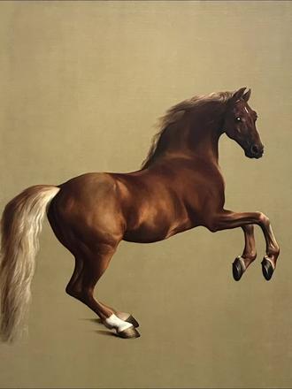 马年和你一起看马🐴
春节宅家不知道干什么?不如跟我一起云看展✨
马年将至,我挑了10幅世界名画里的骏马——从唐代的《照夜白图》到常玉的《黎明之马》,从欧洲战场上的战马到南太平洋的野马。每一匹都不只是马,它们是权力、是激情、是理想、是遗憾,是每一个活生生的人。
🎨 这10匹马的故事:
▪️ 唐玄宗的爱马“照夜白”,被拴住却拼命挣脱——像不像被生活束缚还想挣扎的我们?
▪️ 拿破仑翻越阿尔卑斯山,画里骑烈马,实际骑的是驴——原来“人设”两百年前就有了
▪️ 21岁拉斐尔画的《圣乔治与龙》,白马才是真正的主角,少年感拉满
▪️ 徐悲鸿1941年的《奔马图》,画于长沙会战期间,马蹄声里全是家国
▪️ 常玉晚年的《黎明之马》,暗夜中奔向微光——这是他人生最后的希望
还有高更的《白马》、马克的《蓝马》、热里科的《艾普松赛马》一共10匹,从少年的理想到晚年的坚守,拼成一条完整的人生故事线。
马年看马,其实看的是我们自己。
祝大家新的一年:既有挣脱缰绳的勇气,也有奔向黎明的耐心❤️
#马年#艺术科普#世界名画#看展#马年看马