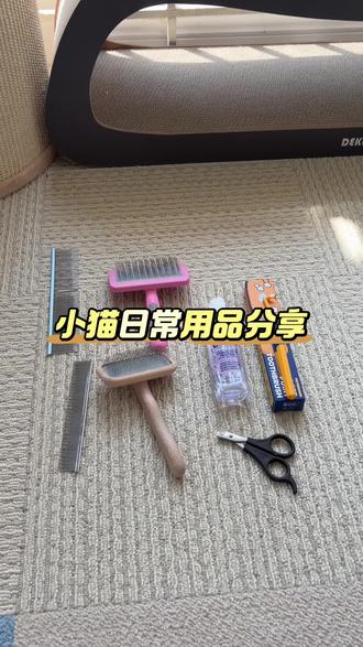 #宠物用品 #猫梳子 #猫砂盆 「豆的日常用品分享」
家里的猫砂盆指甲剪梳子牙刷都用了至少一年了,用下来体验感很好,出一期分享给大家🥺