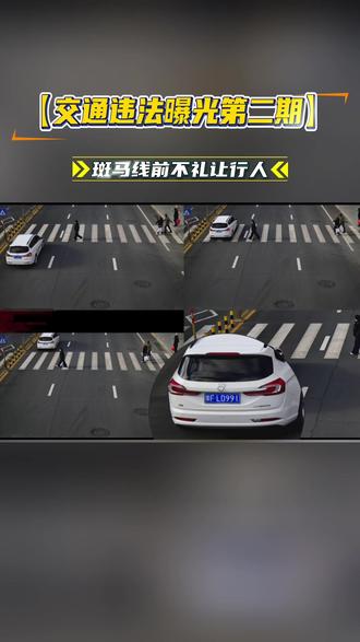 交通违法曝光第二期 斑马线前未礼让行人